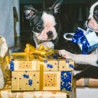 Babuschka und Babsy beim Geschenke auspacken