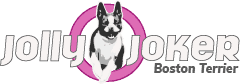 Jolly Joker – Boston Terrier Logo